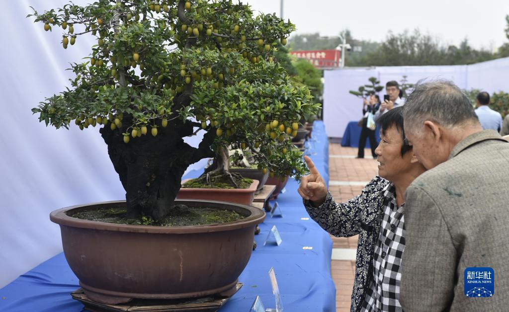 88集团登录
