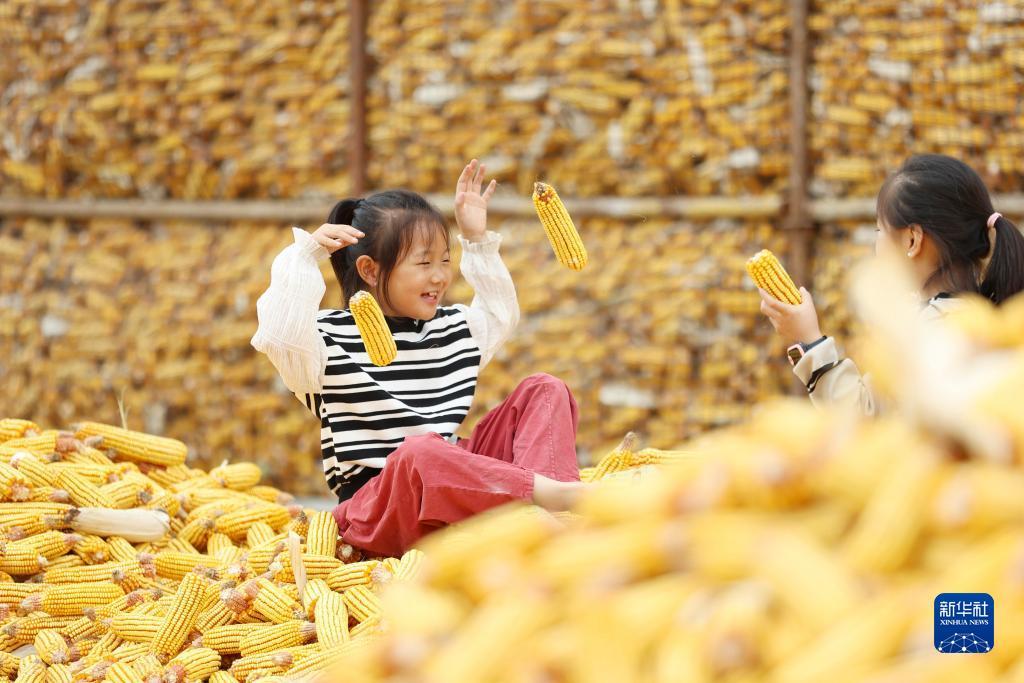 网页炸金花房卡